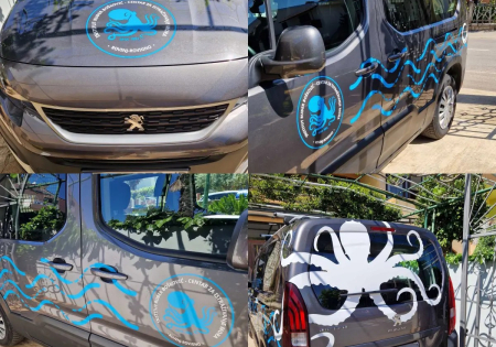 Obljepljivanje Vozila: Prije i Poslije Transformacije